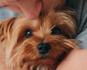 Man holding dog in arms