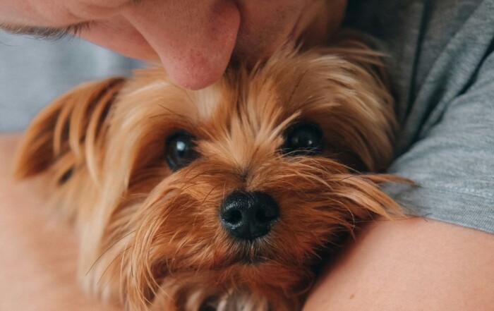 Man holding dog in arms